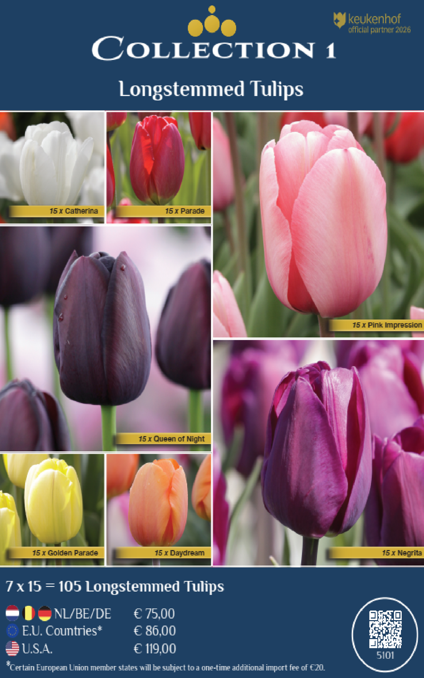 COLLECTIONS | Collection 1: Longstemmed Tulips (7 x 15 flowerbulbs)