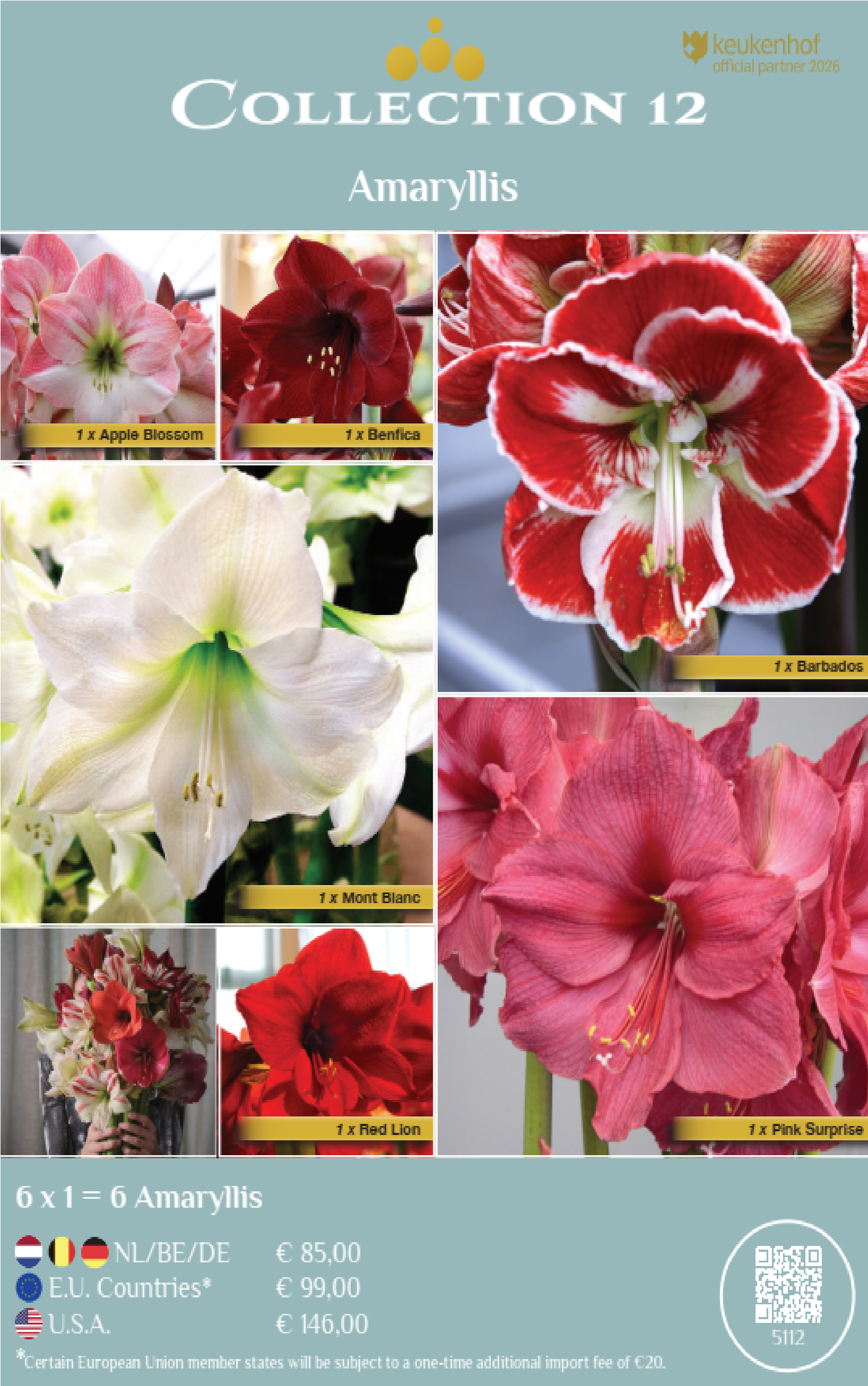 COLLECTIONS | Collection 12: Amaryllis (6 x 1 flowerbulbs)