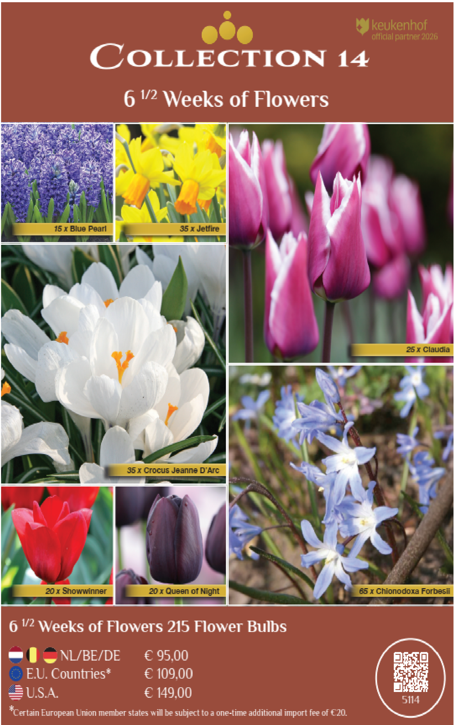 COLLECTIONS | Collection 14: 6.5 weeks of flower bulbs (215 flowerbulbs)