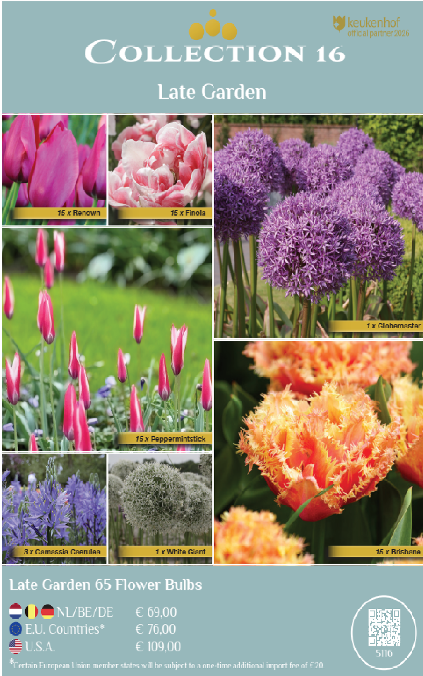 COLLECTIONS | Collection 16: Late Garden (65 flowerbulbs)