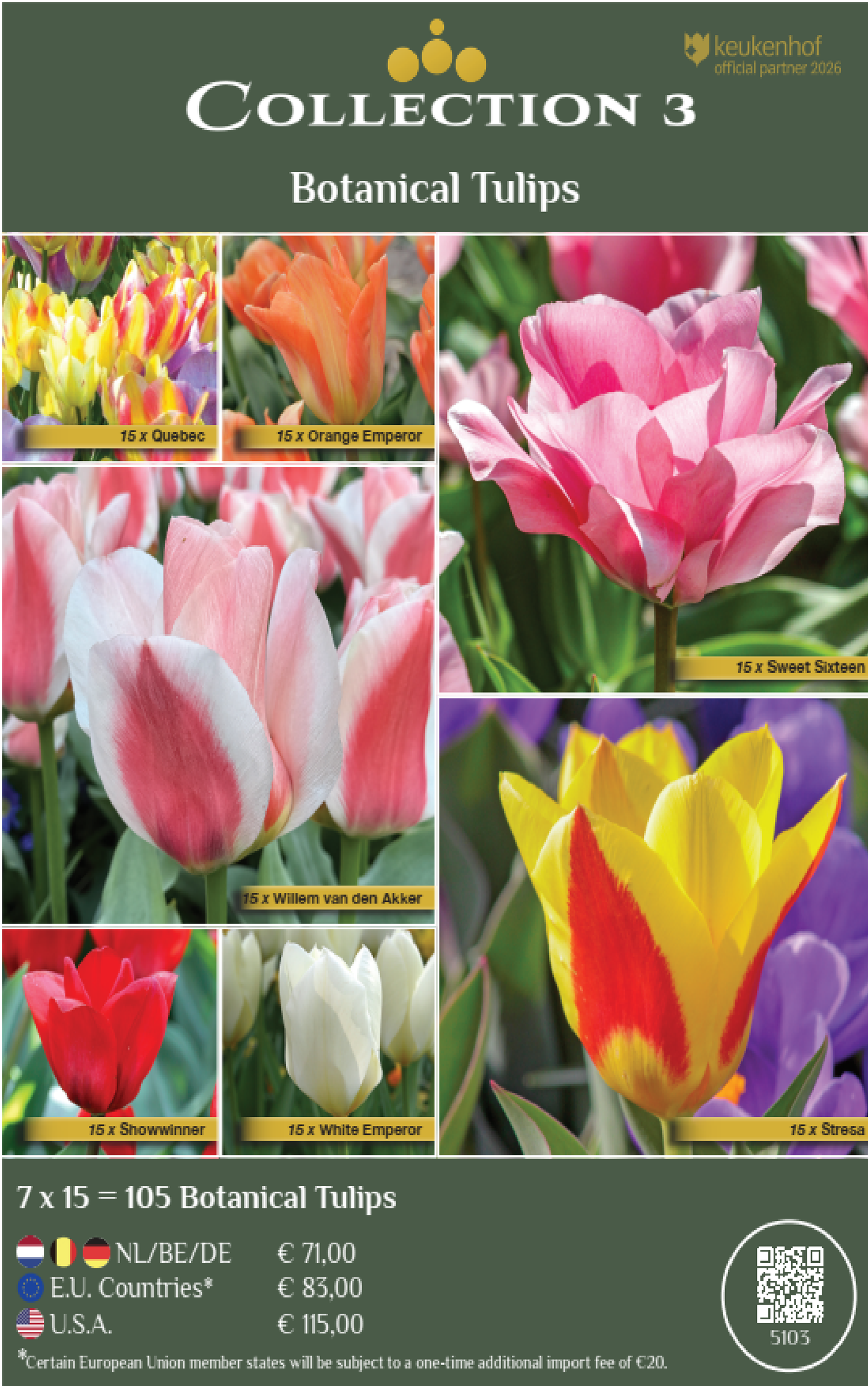 COLLECTIONS | Collection 3: Botanical Tulips (7 x 15 flowerbulbs)
