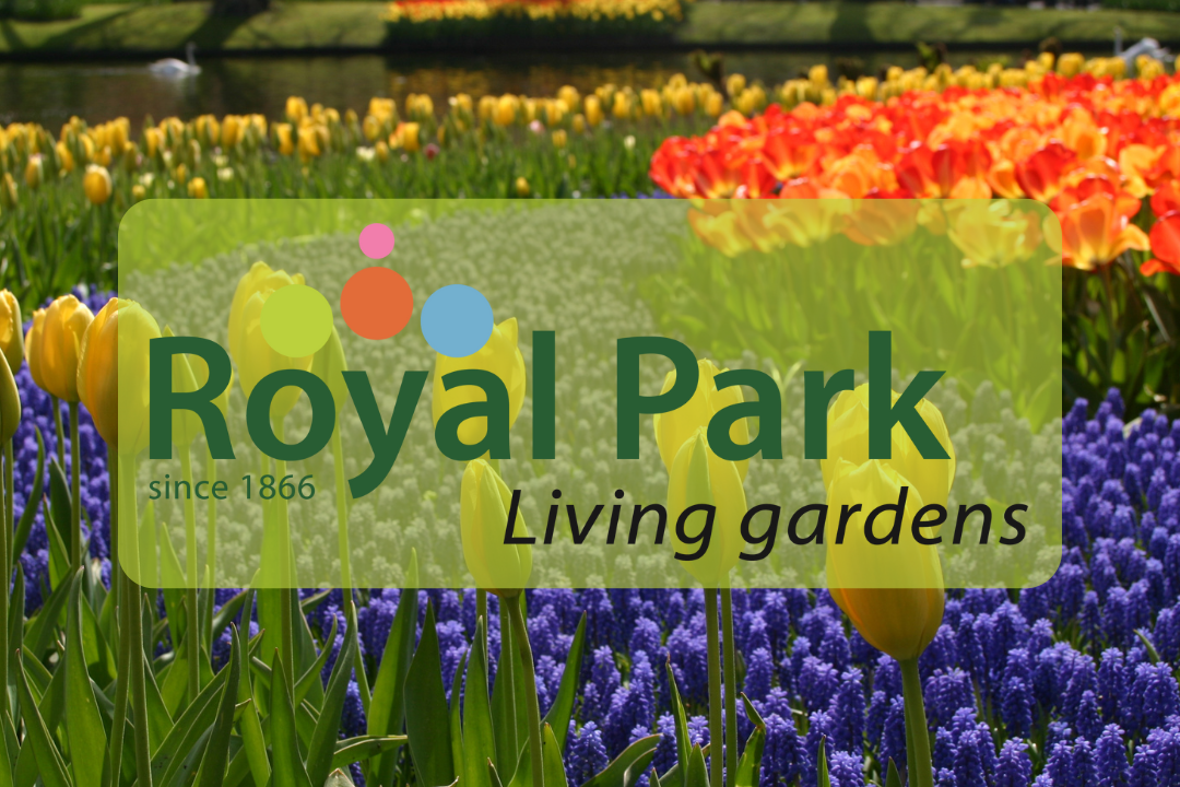 Tips for a colorful spring by Royal Park
