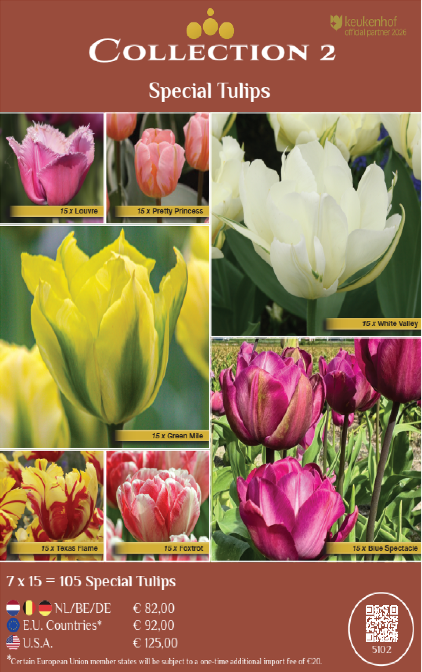 COLLECTIONS | Collection 2: Special Tulips (7 x 15 flowerbulbs)