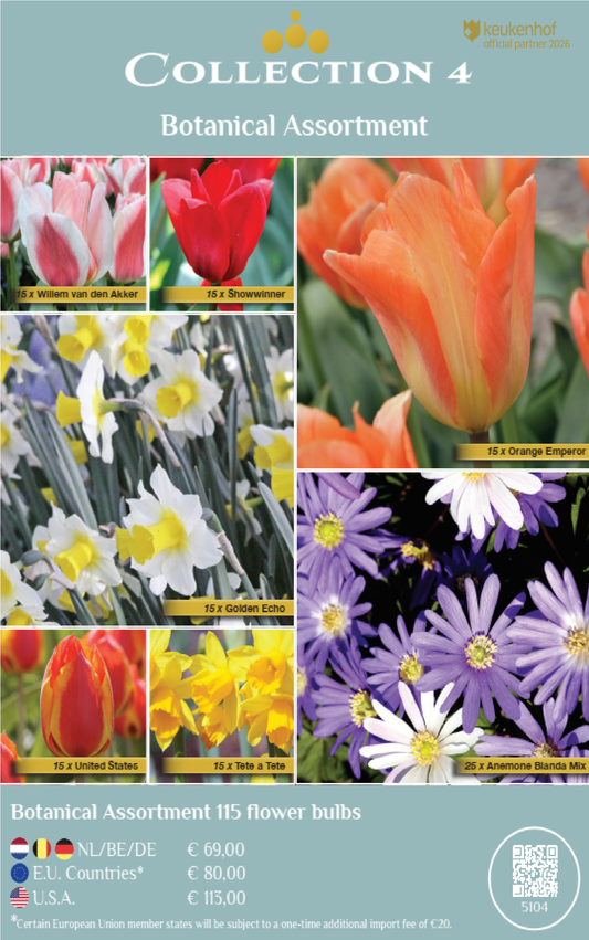 COLLECTIONS | Collection 4: Botanical assortment (115 flowerbulbs)