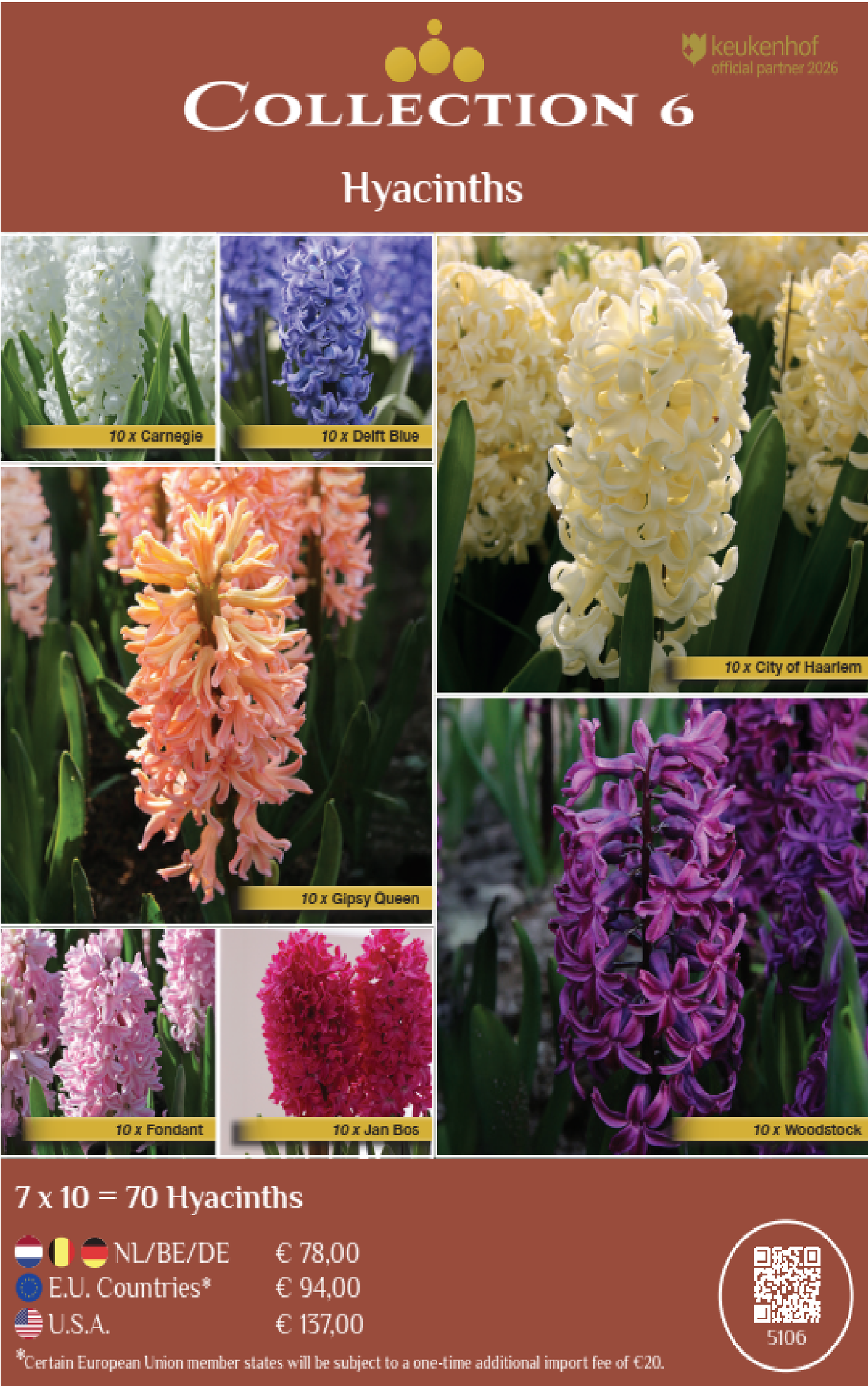 COLLECTIONS | Collection 6: Hyacinths (7 x 10 flowerbulbs)