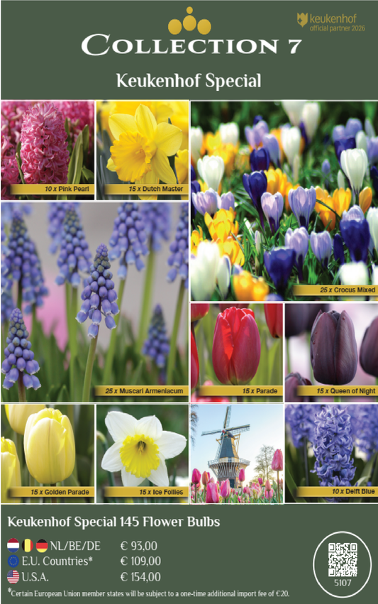 COLLECTIONS | Collection 7: Keukenhof Special (145 flowerbulbs)